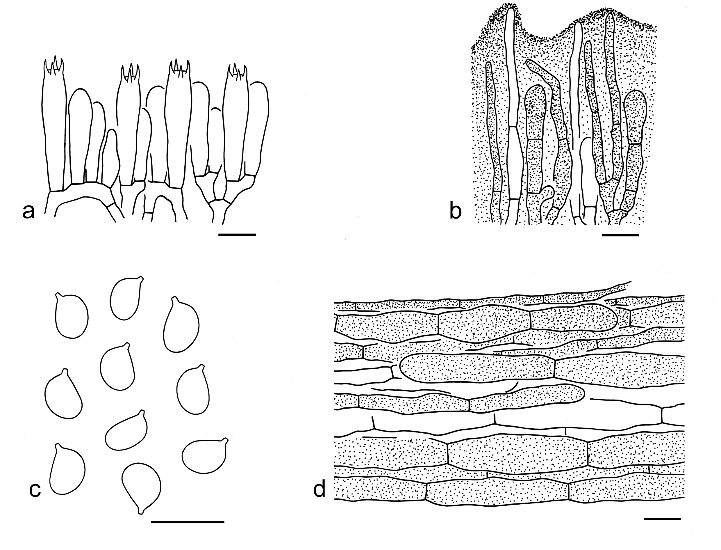 Figure 59